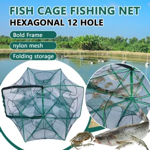 Folding Lobster Cage Trap